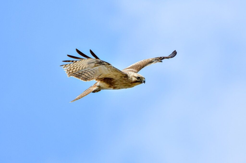 the future of 3d printing etrstech