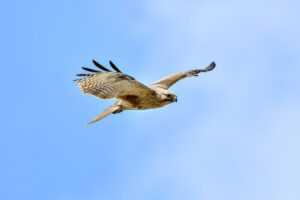 the future of 3d printing etrstech