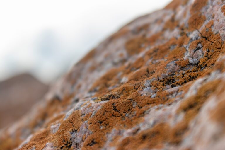 tportgametek gaming updates by theportablegamer