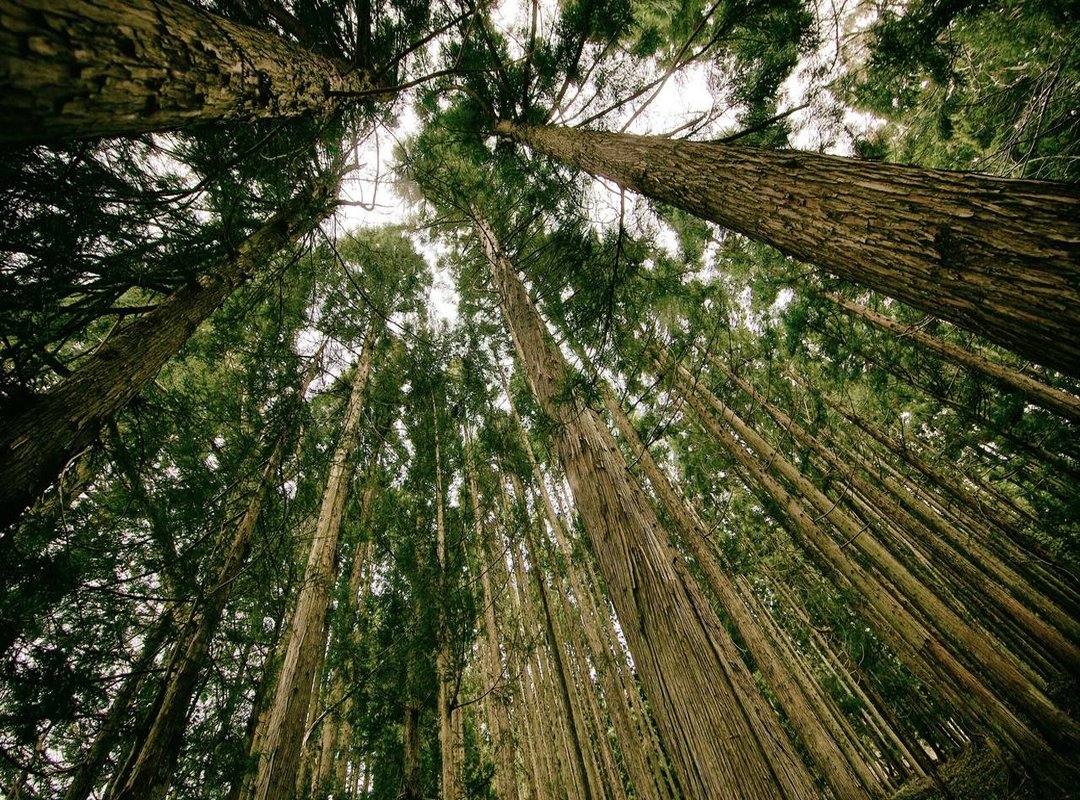 Your Action Plan: How to Block and Report 061 203660