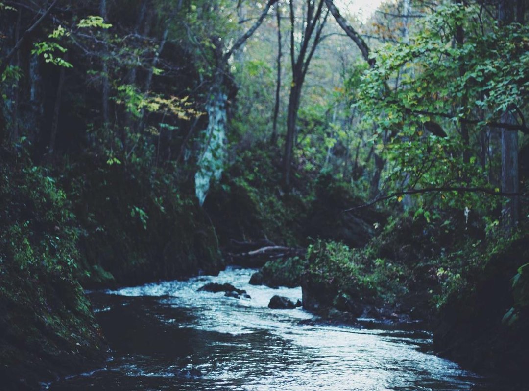 A Deep Dive into the Numerology of 21:31