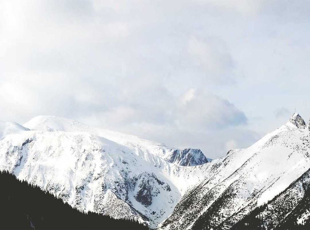 Defining a Career: Milestones and Public Persona