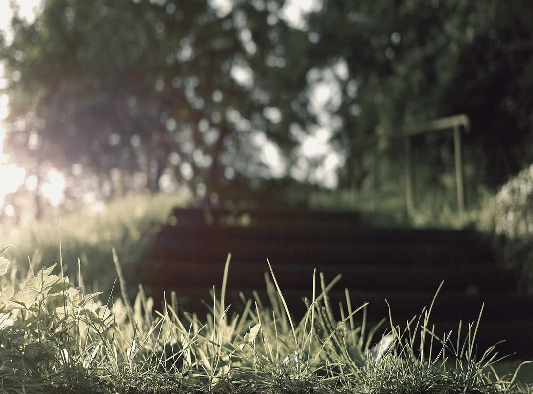 Public and Critical Reception: How the World Reacted