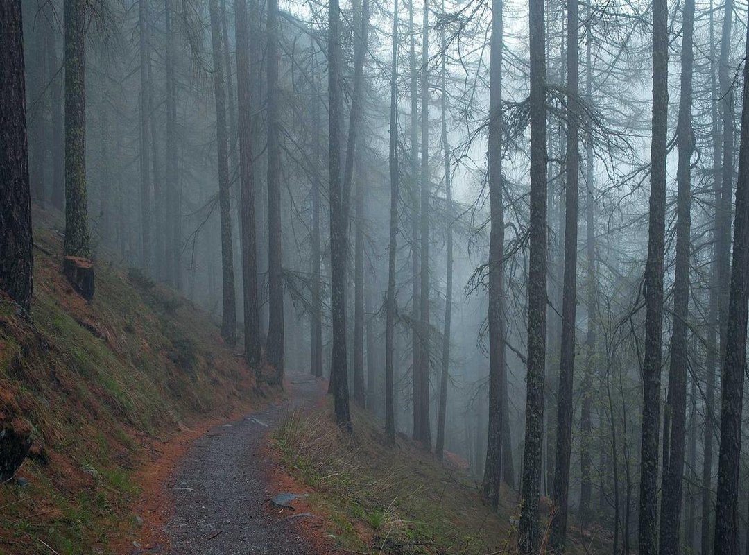 The Ultimate Taste Test: A Review of Flavor, Texture, and Cooking Performance