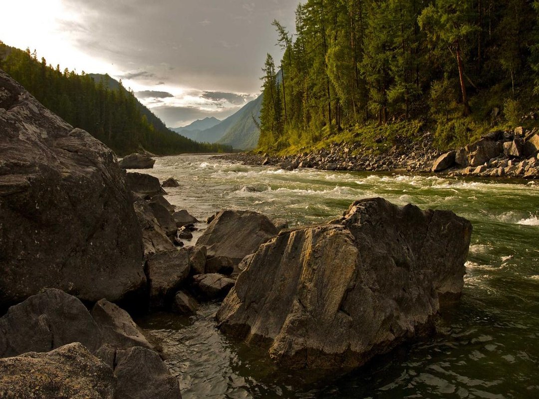 Gearing Up: The Best Weapons and Tactics for the Fight