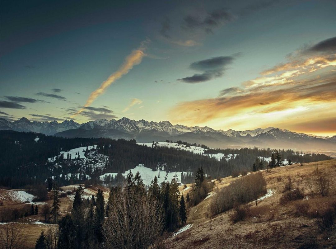 Jinx Cap 50 vs. The Competition: A Head-to-Head Comparison