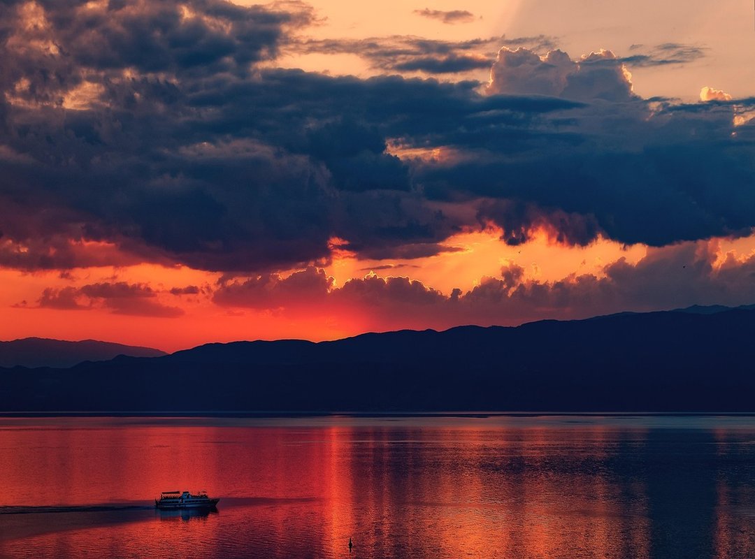 Explore More Characters from the Skibidi Toilet Universe