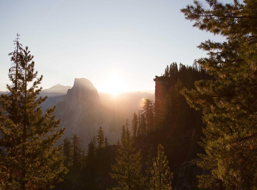 When to Send a 'Lief Kusje' GIF: Perfect Scenarios