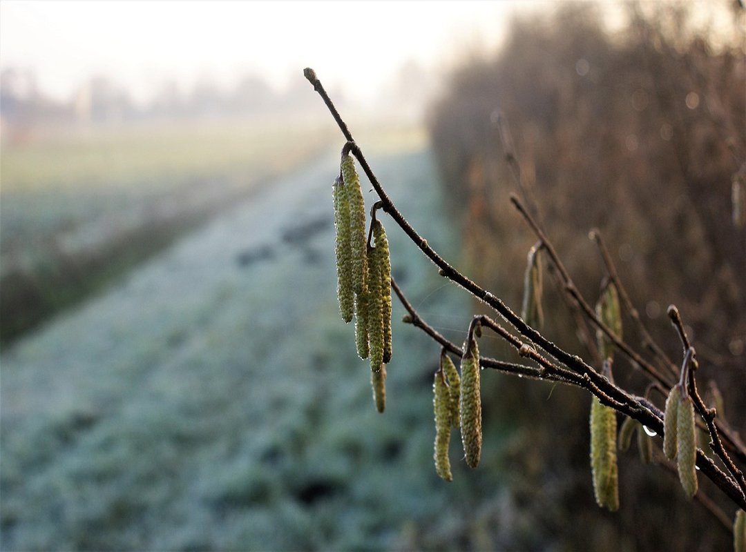 3 Game-Changing Benefits You Won't Find Elsewhere