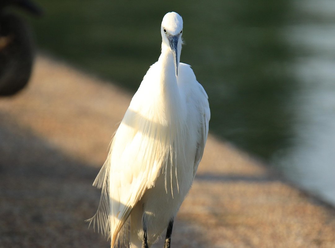 A Straightforward Guide to Accessing the Platform