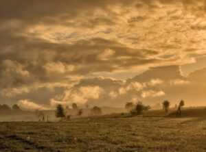 sunrise good morning nature gif