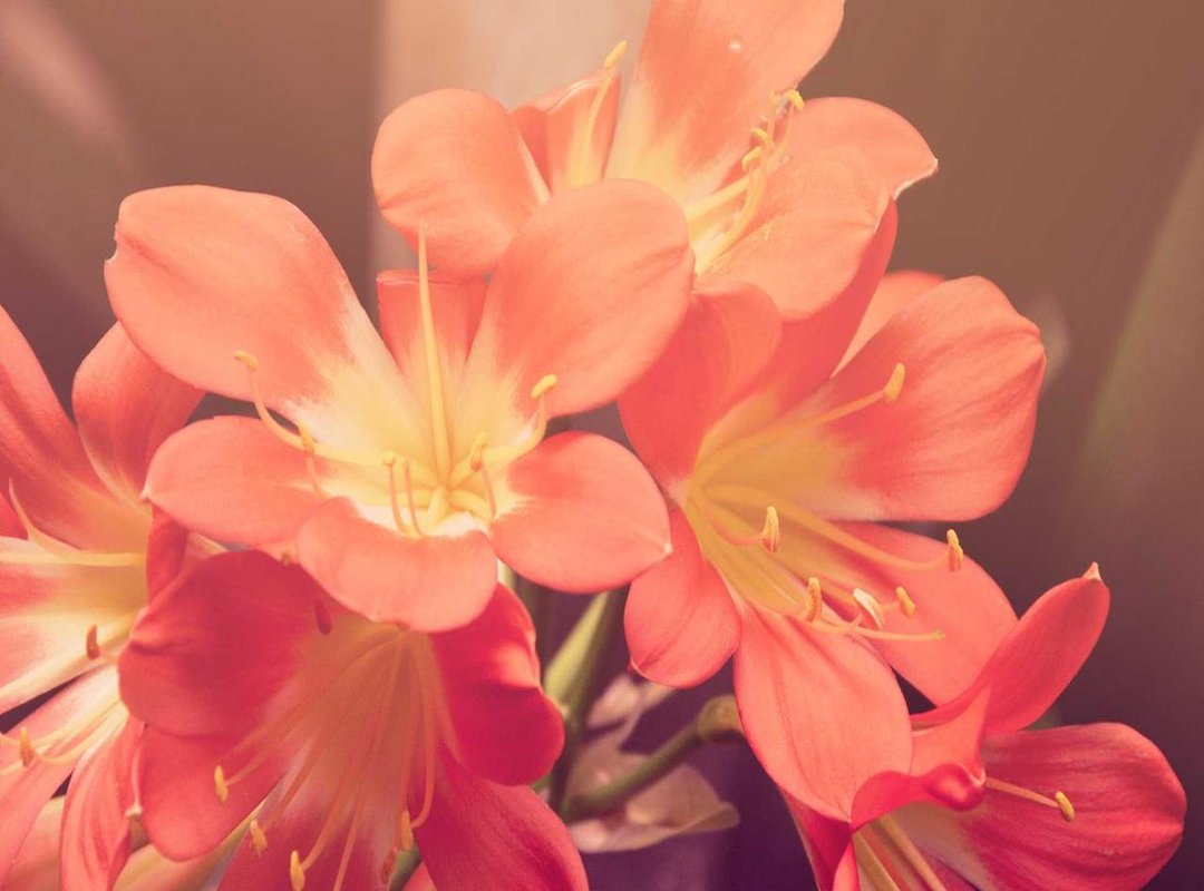 How to Use 'Yepo' in a Sentence: Examples and Common Mistakes